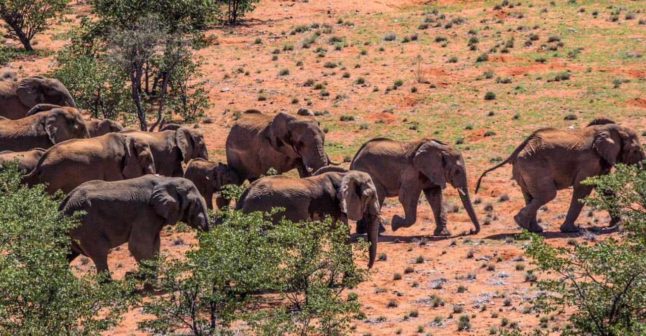Grootberg Lodge Damaraland Eksteriør bilde