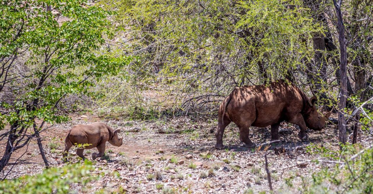 Grootberg Lodge Damaraland Eksteriør bilde