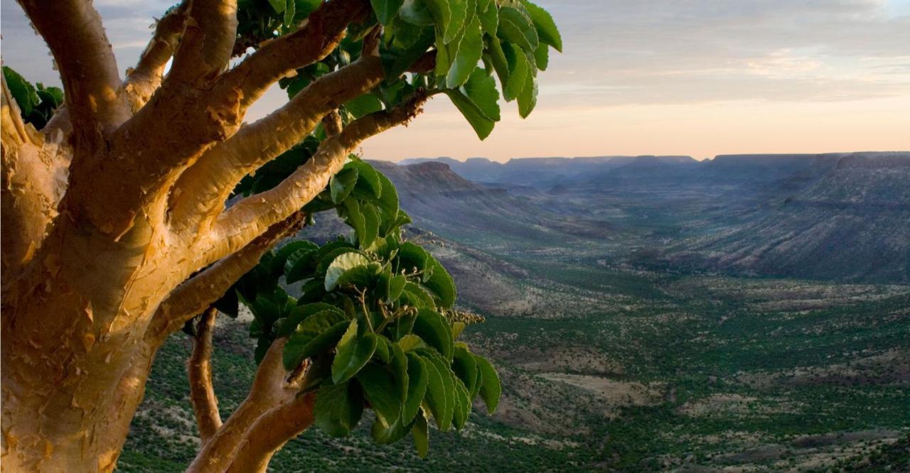 Grootberg Lodge Damaraland Eksteriør bilde