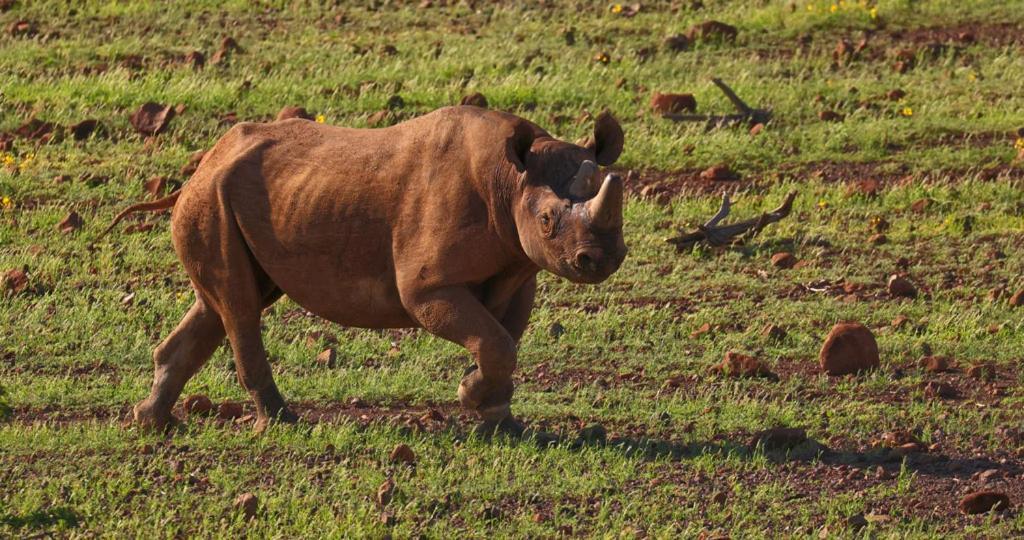 Grootberg Lodge Damaraland Eksteriør bilde