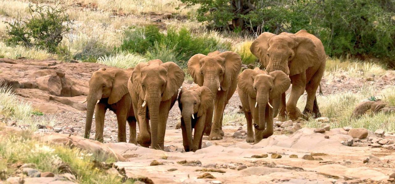 Grootberg Lodge Damaraland Eksteriør bilde