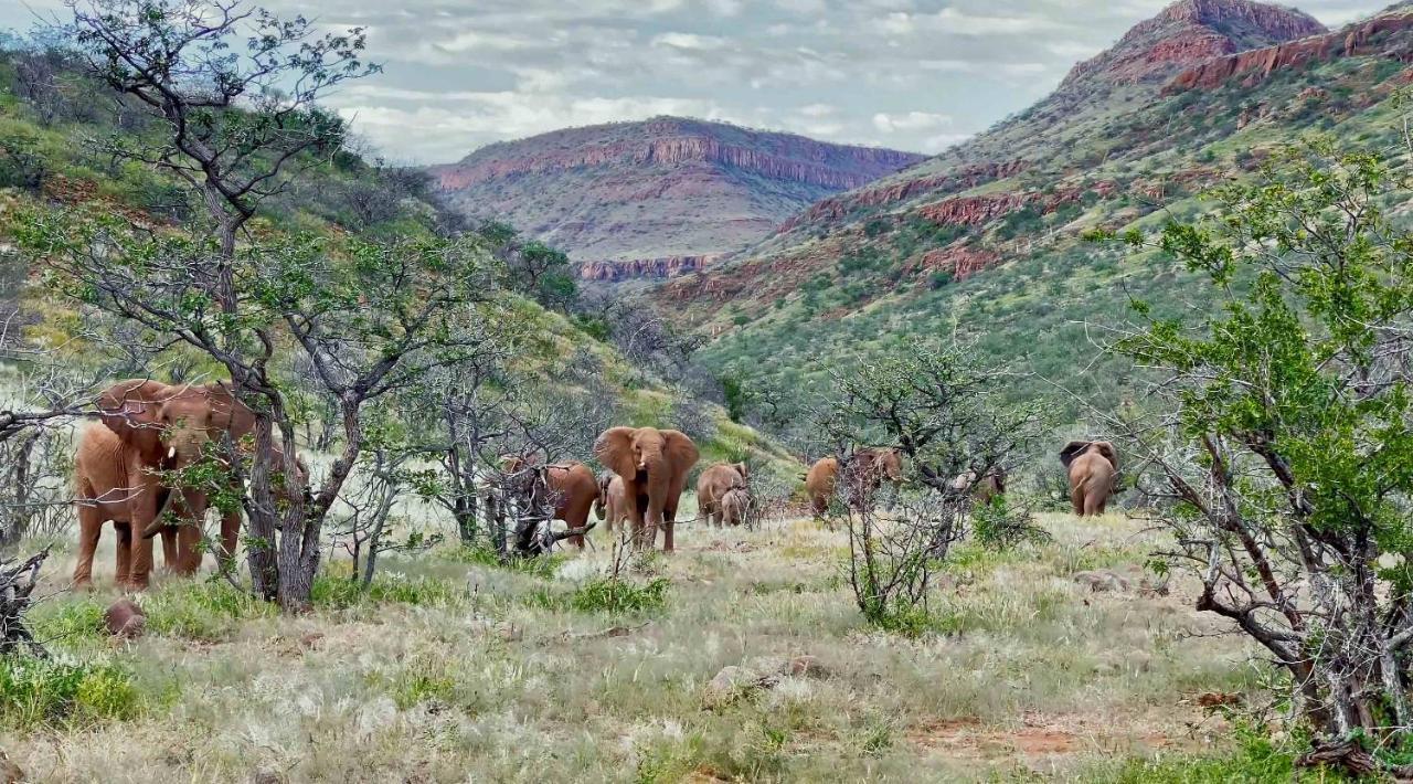 Grootberg Lodge Damaraland Eksteriør bilde
