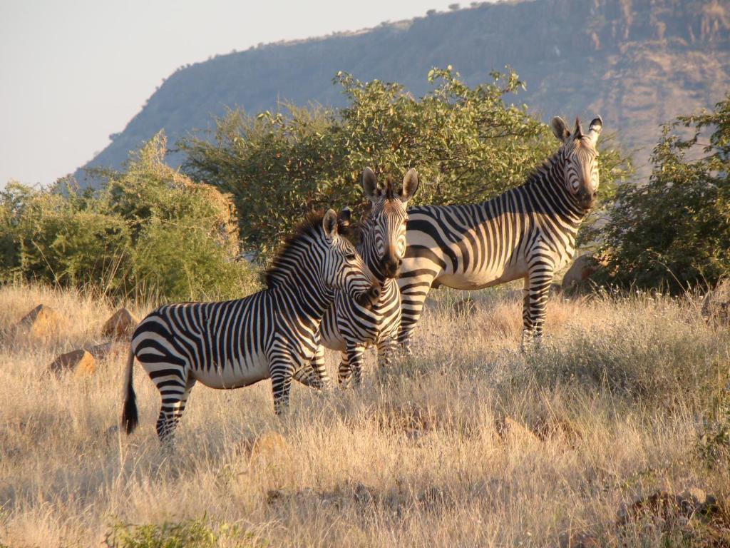 Grootberg Lodge Damaraland Eksteriør bilde