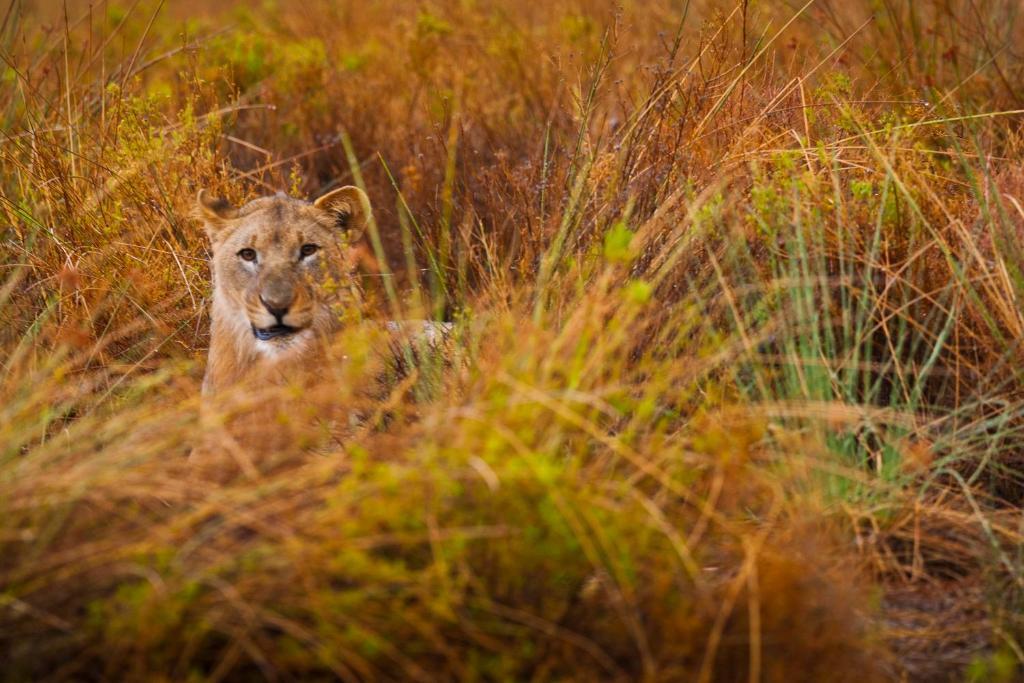 Grootberg Lodge Damaraland Eksteriør bilde