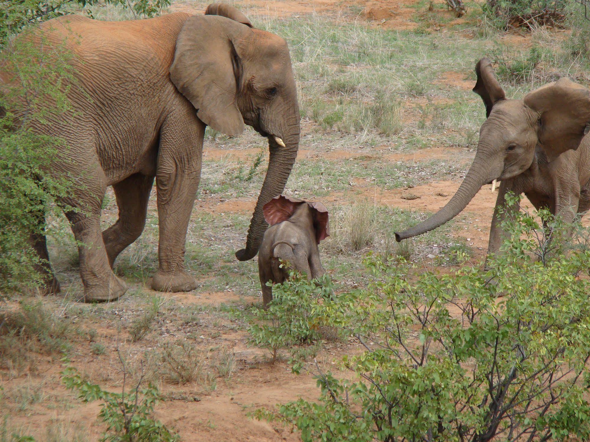 Grootberg Lodge Damaraland Eksteriør bilde