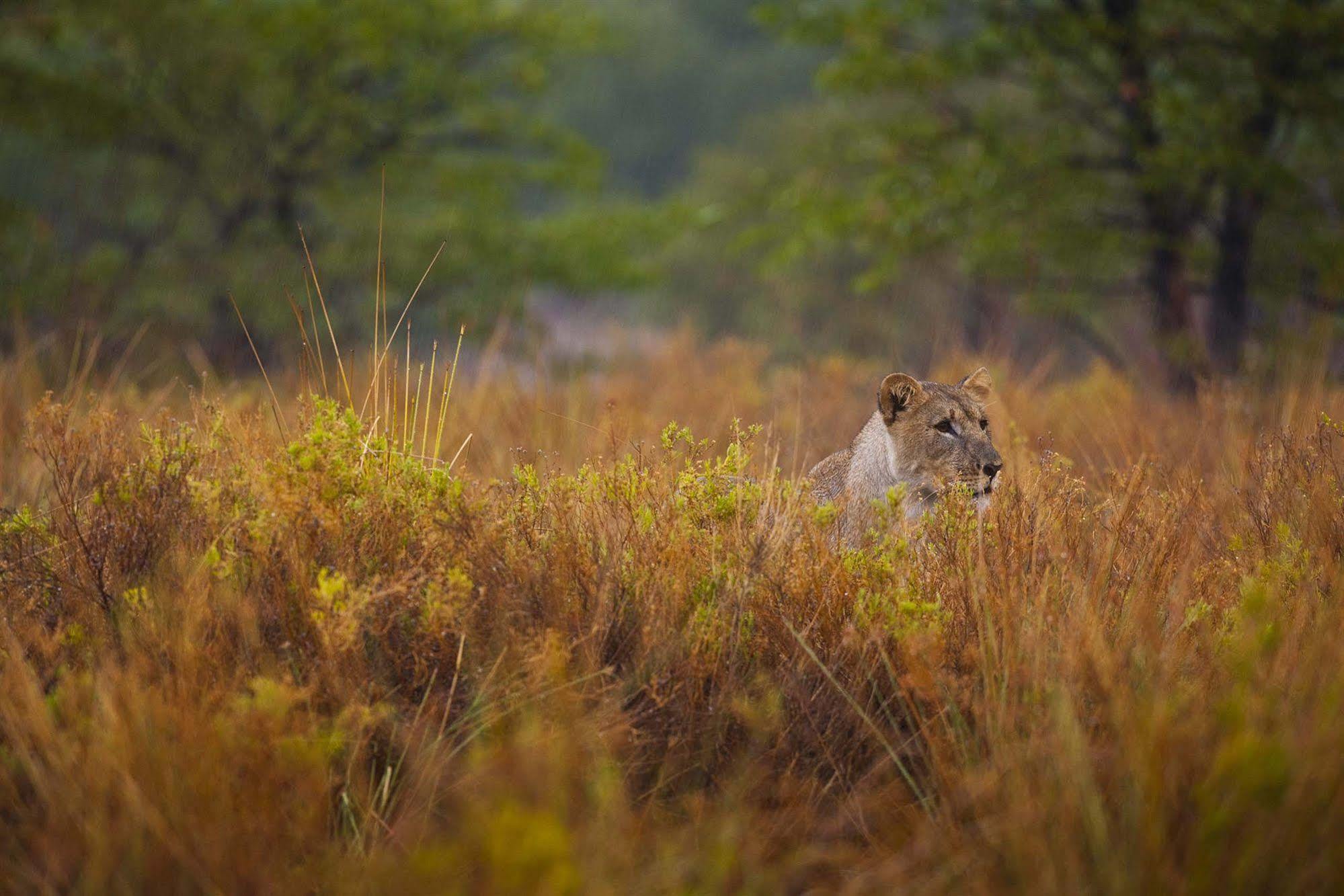 Grootberg Lodge Damaraland Eksteriør bilde