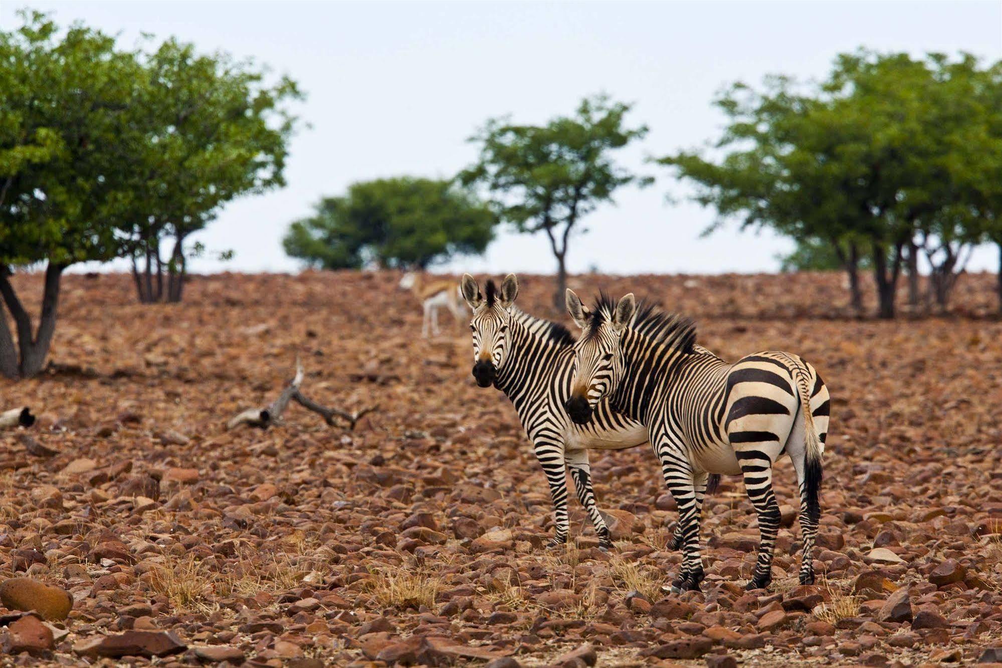 Grootberg Lodge Damaraland Eksteriør bilde