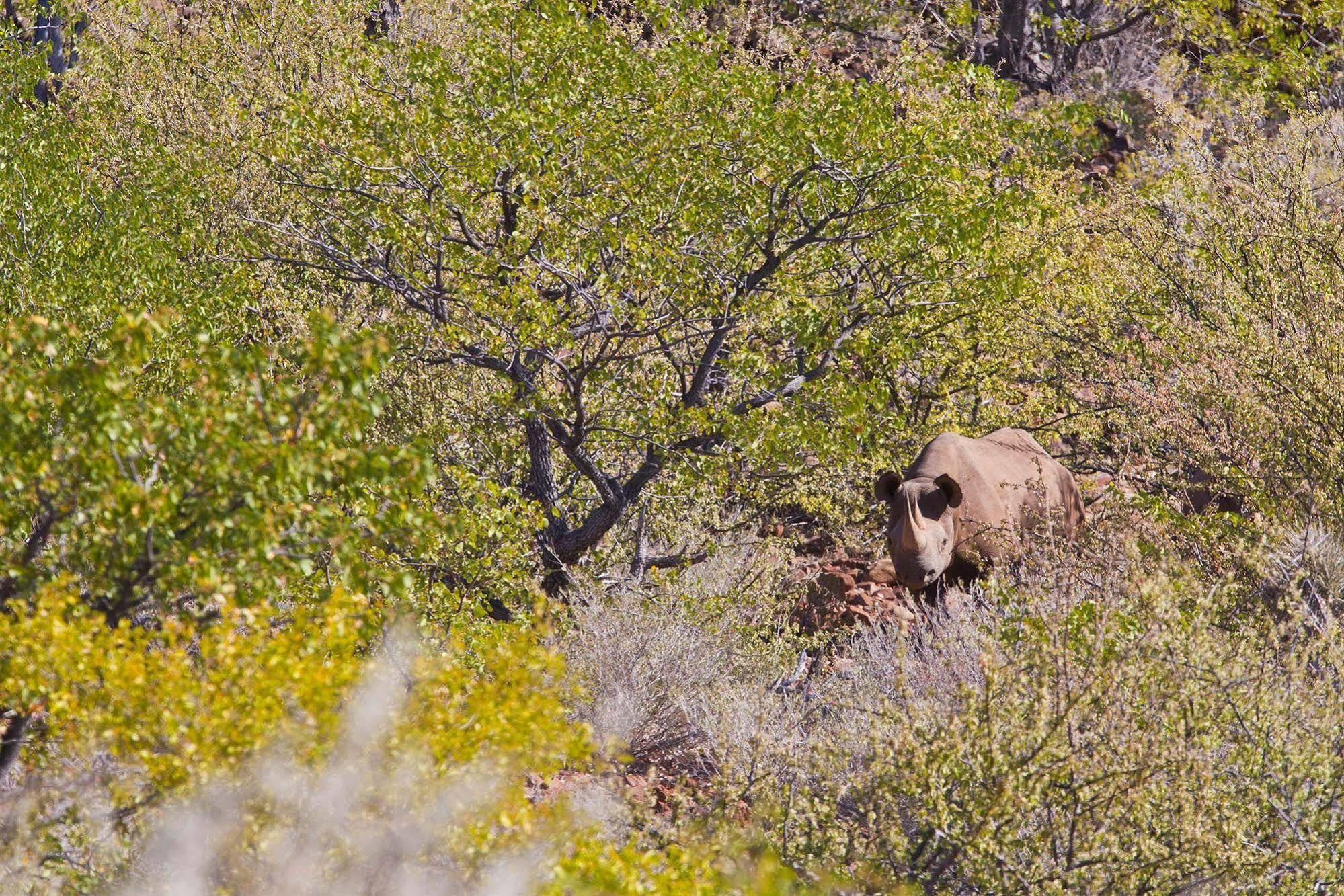 Grootberg Lodge Damaraland Eksteriør bilde