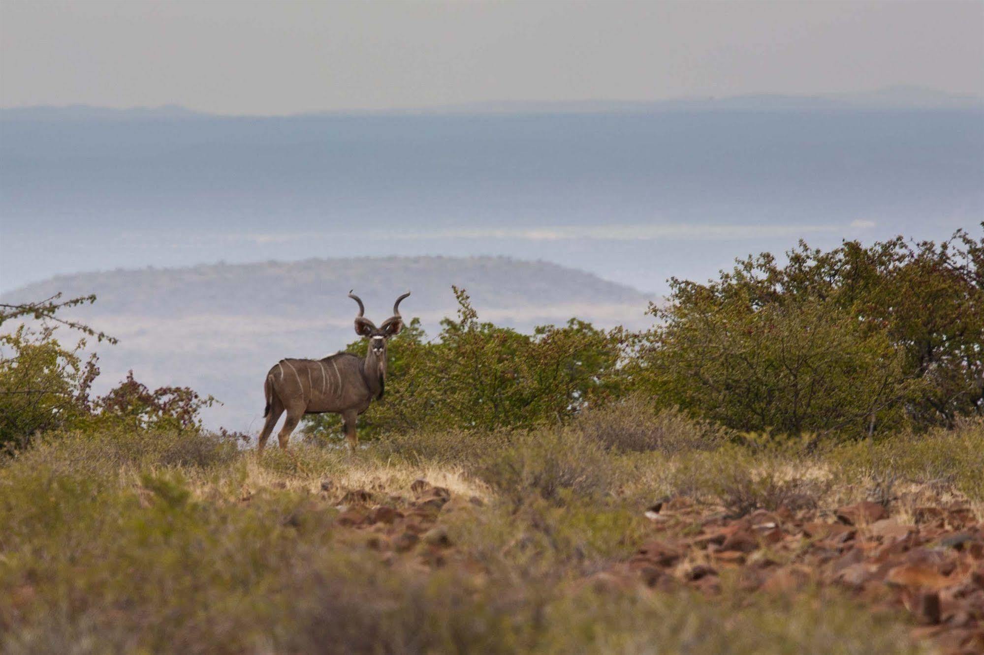 Grootberg Lodge Damaraland Eksteriør bilde
